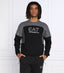 Felpa Emporio Armani Uomo