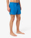 Costume Lacoste